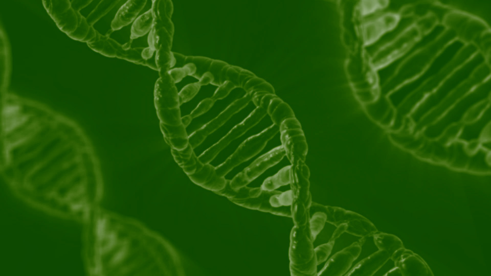 DNA green